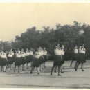       Sokolský slet 1948